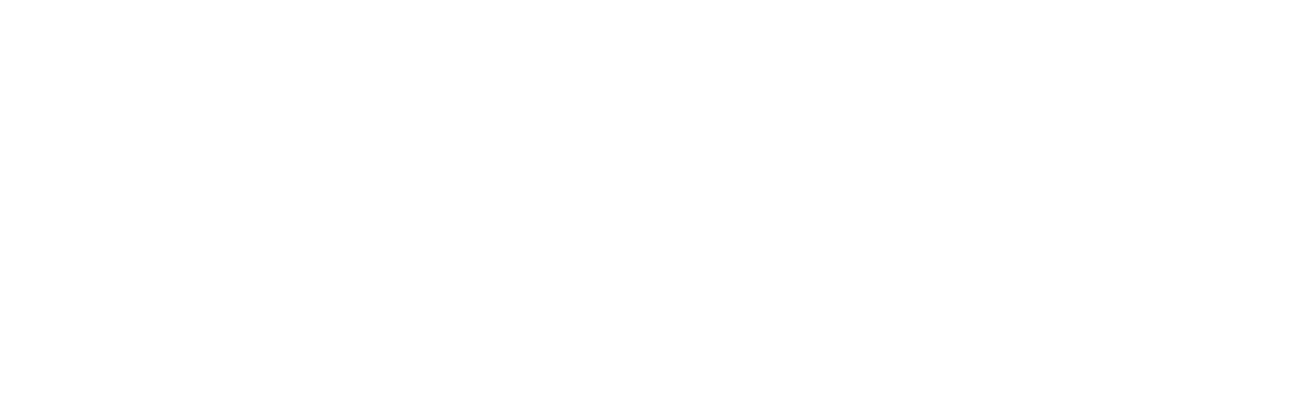 Bruno Domingues | Photographer